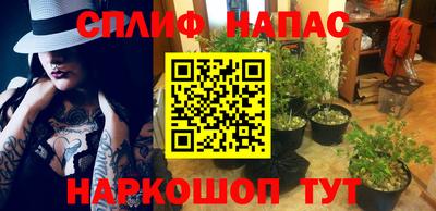 гашишное масло Пушкино