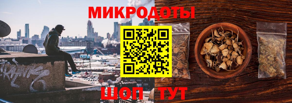 Галлюциногенные грибы Psilocybine cubensis Протвино